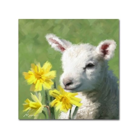 The Macneil Studio 'Easter Lamb' Canvas Art,35x35